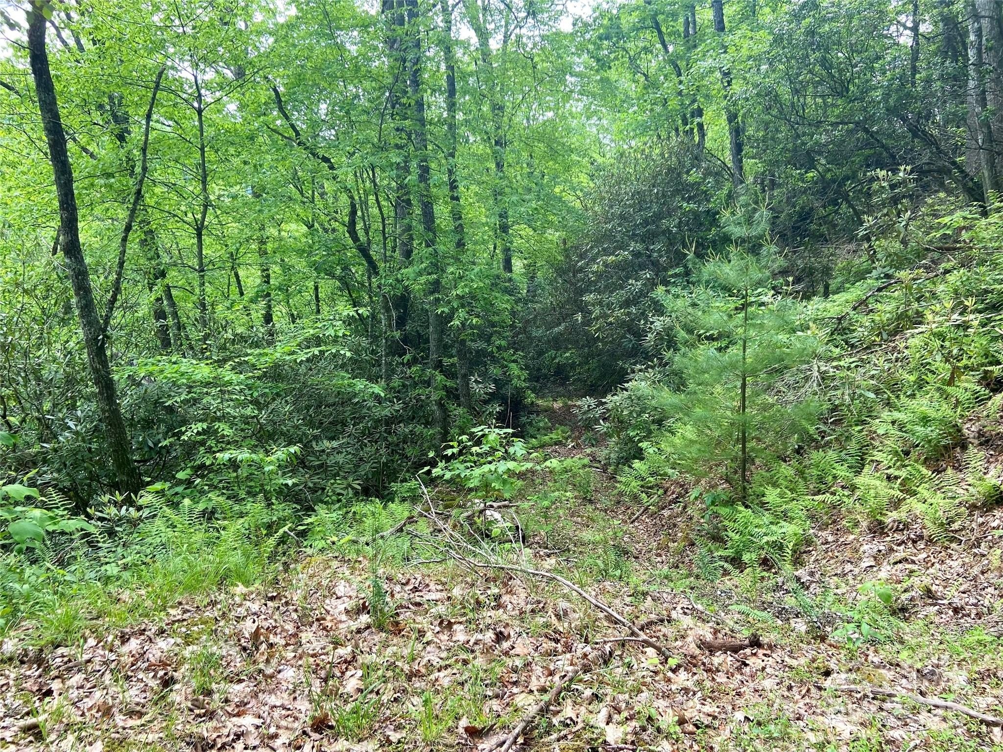 Land with Creek in Bryson City