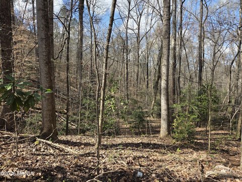Wooded Building Lot in Macon