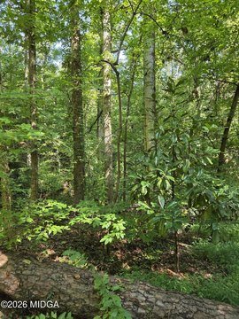 Residential Land in Natural Setting