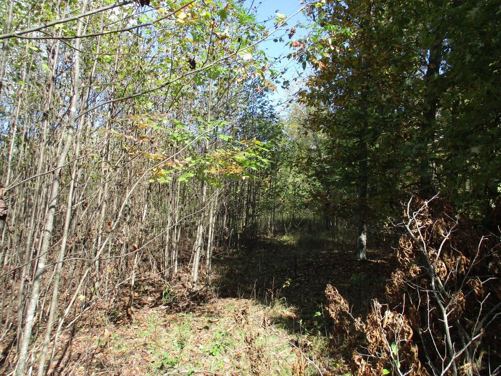 Picture 6