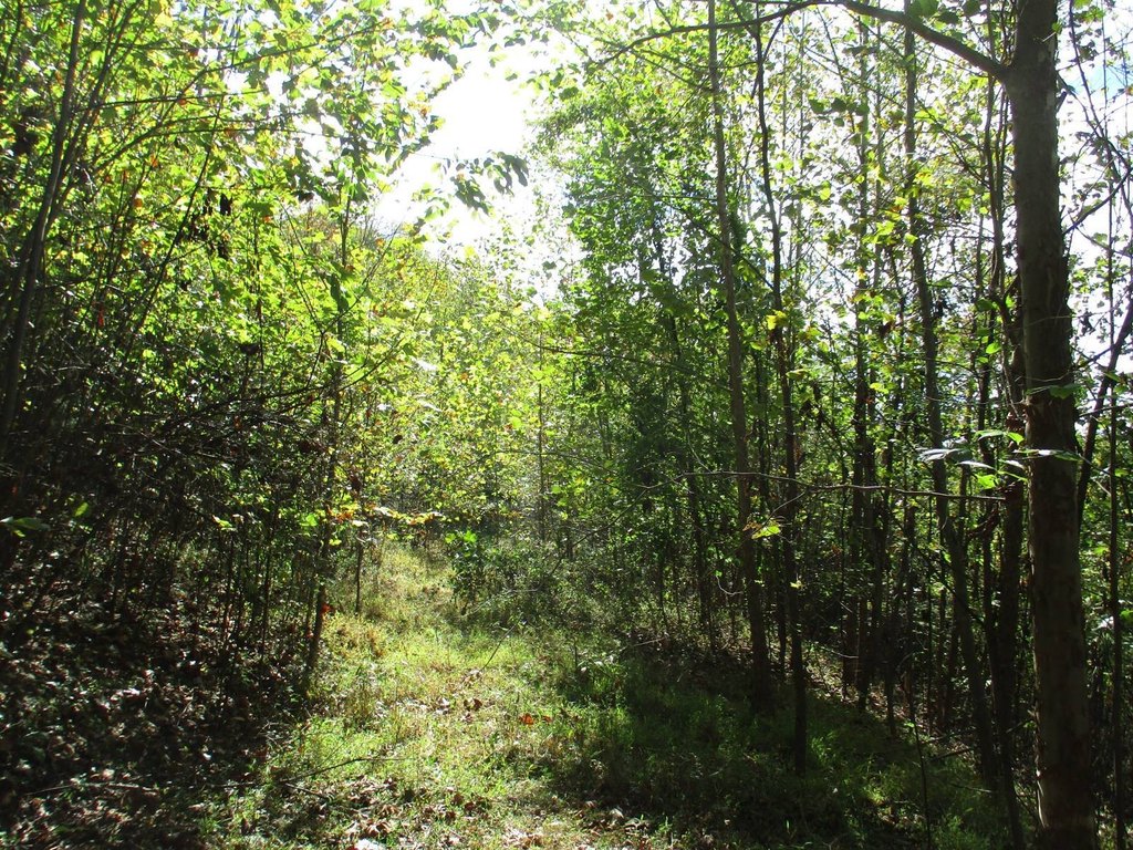 Picture 8