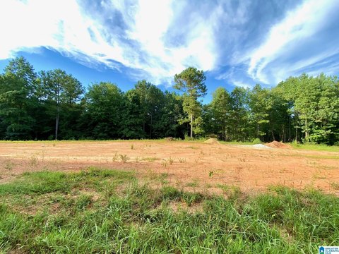 LAND - RANBURNE, AL