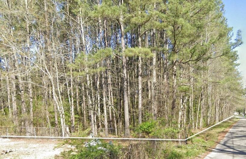 Picture 13