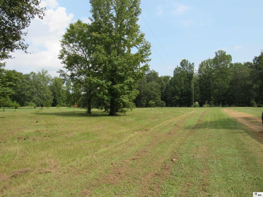 Picture 7