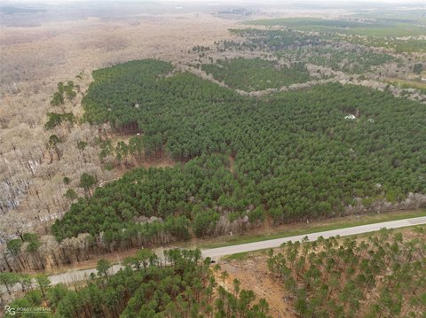 Waterfront Wooded Land Tract