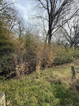 Residential Land Near Cedar Creek