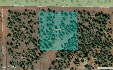 Hunting Land at National Forest Boundary