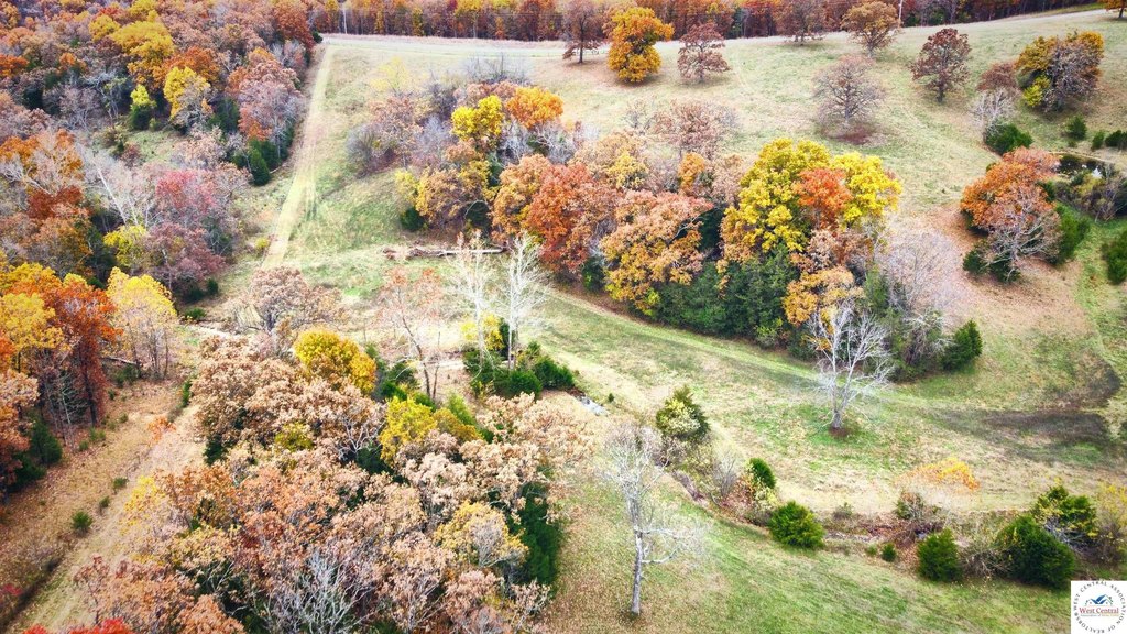 Picture 14