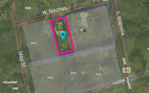 Residential Lot in Palestine, TX