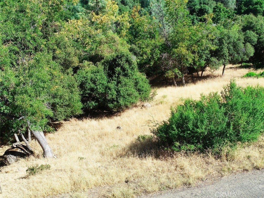 Kelseyville Land with Lake View