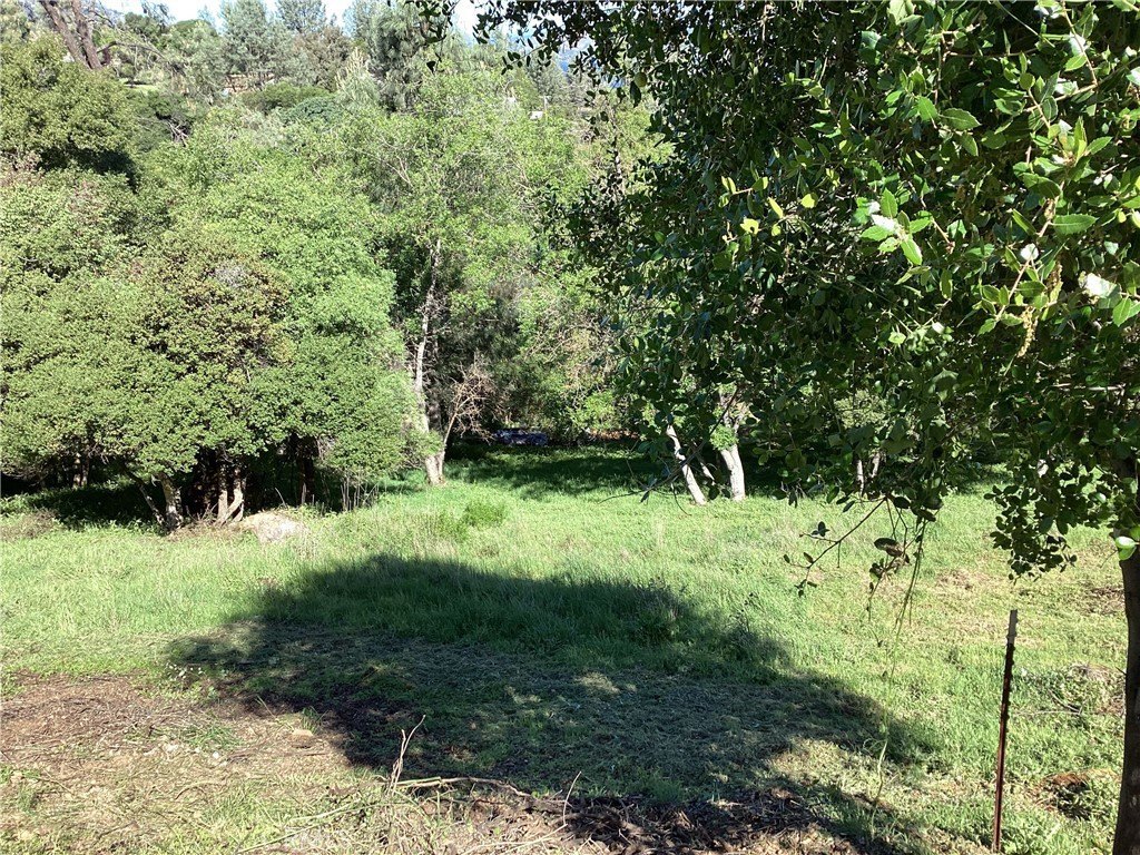 Picture 12