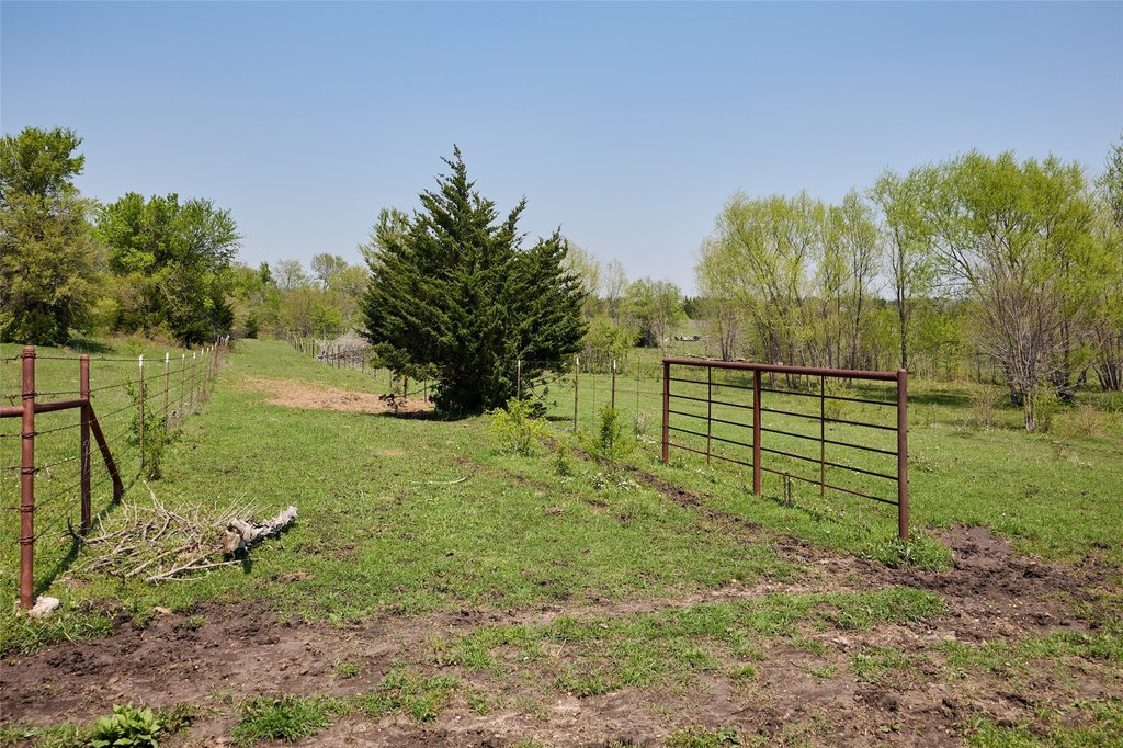 Picture 30