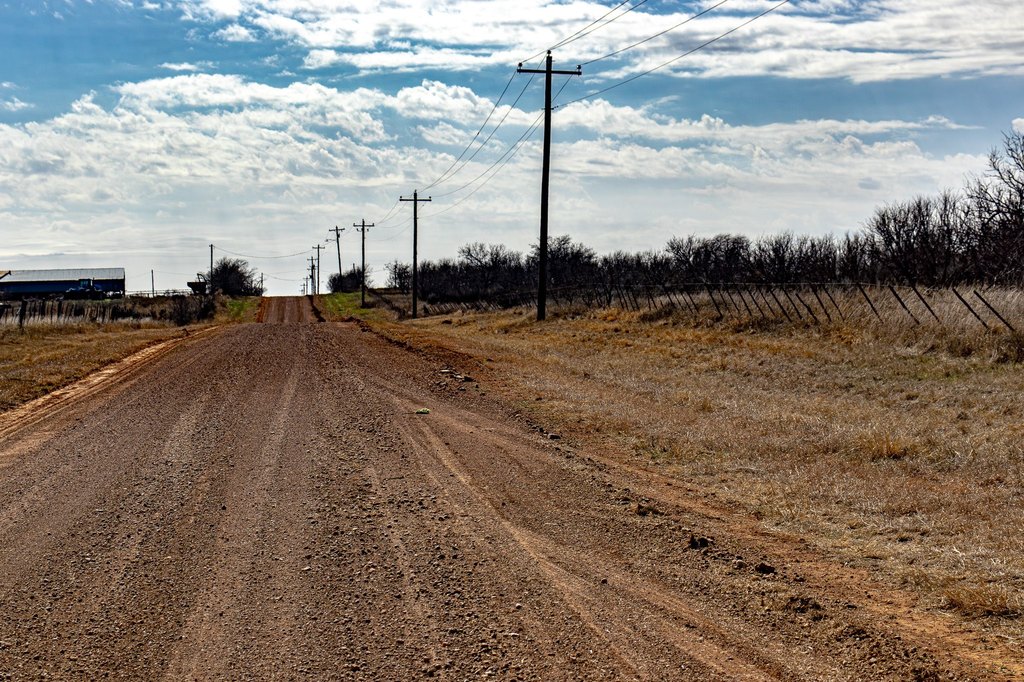 Picture 40