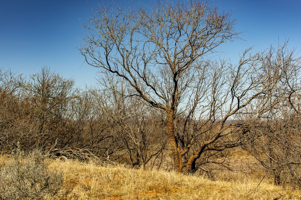 Picture 31