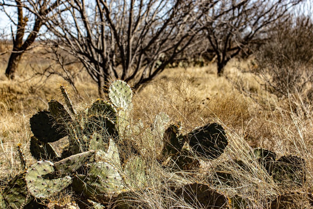 Picture 30