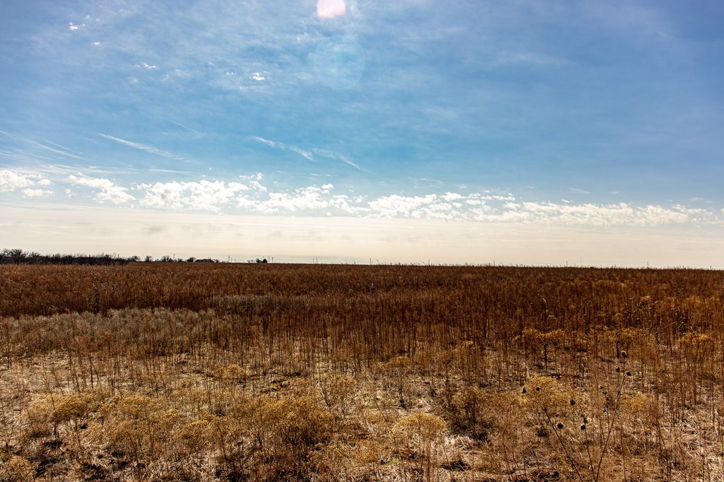 Picture 26