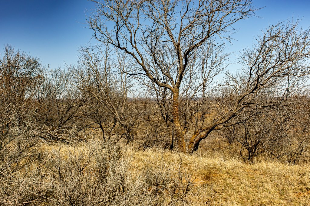 Picture 27