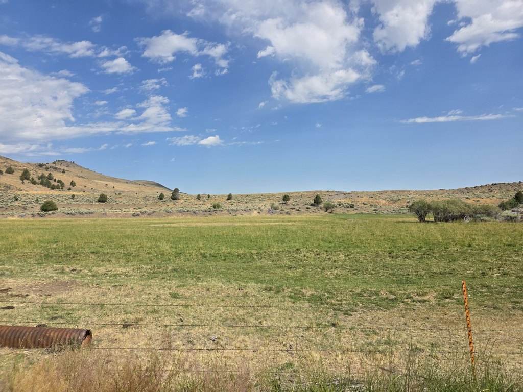 Picture 22