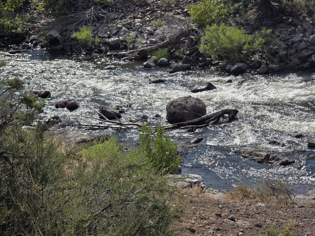 Picture 3
