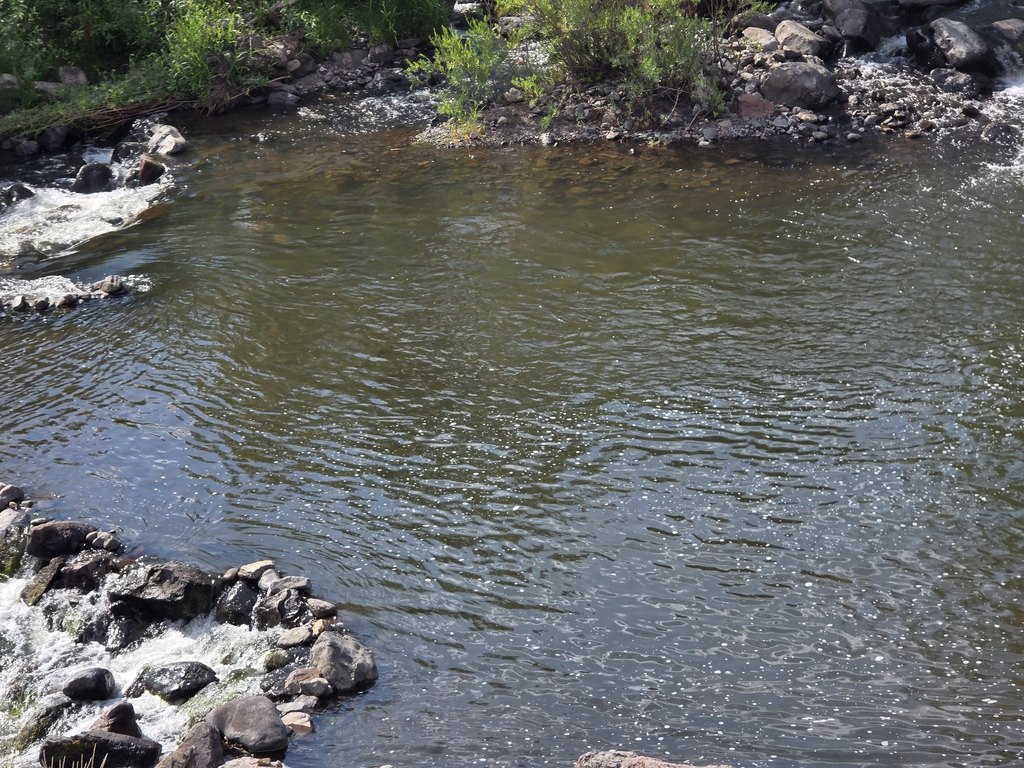 Picture 17
