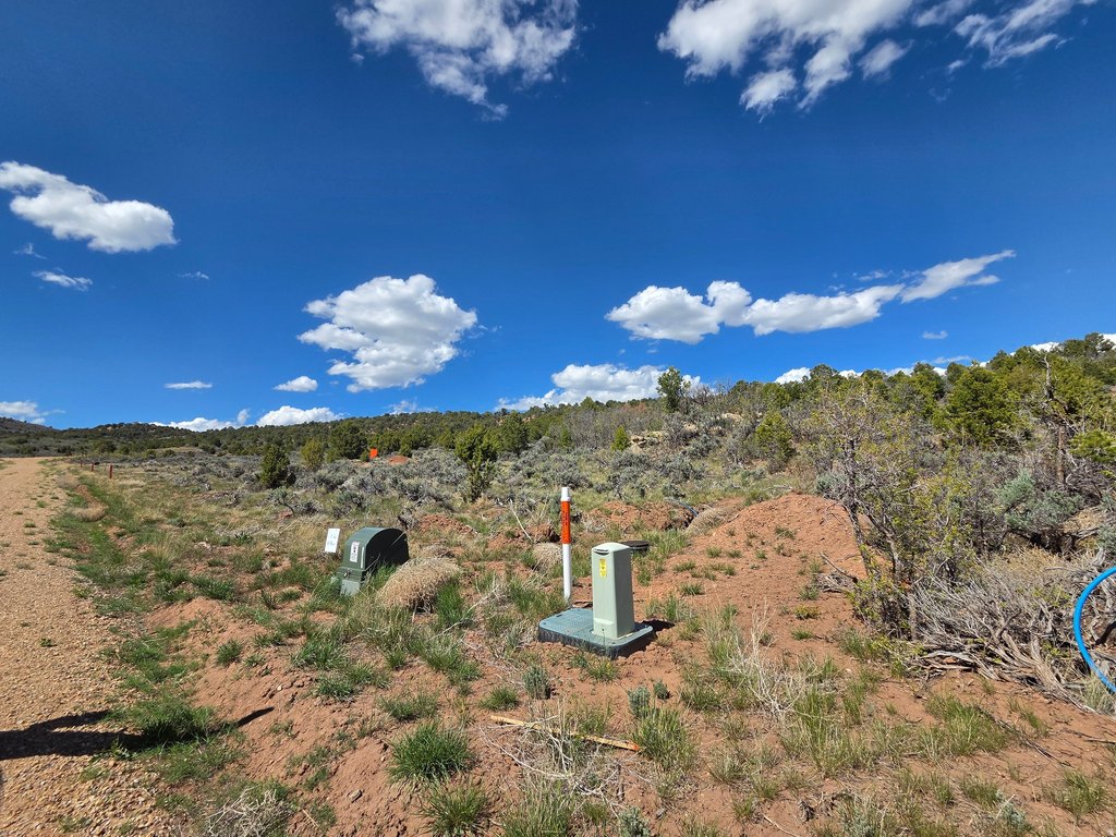 Picture 5