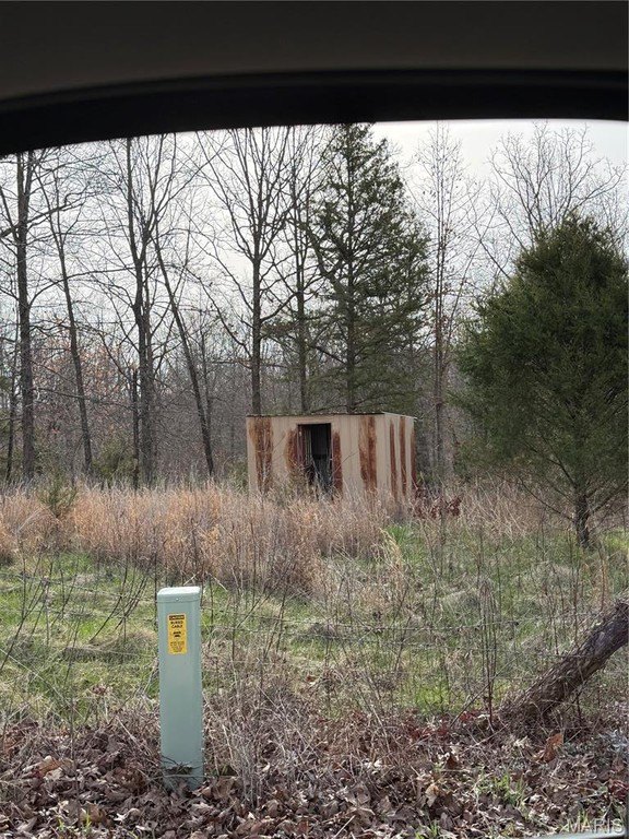 Picture 6