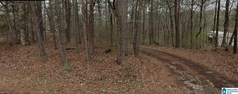 Agricultural Land Parcel