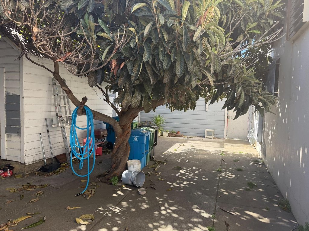 Picture 18
