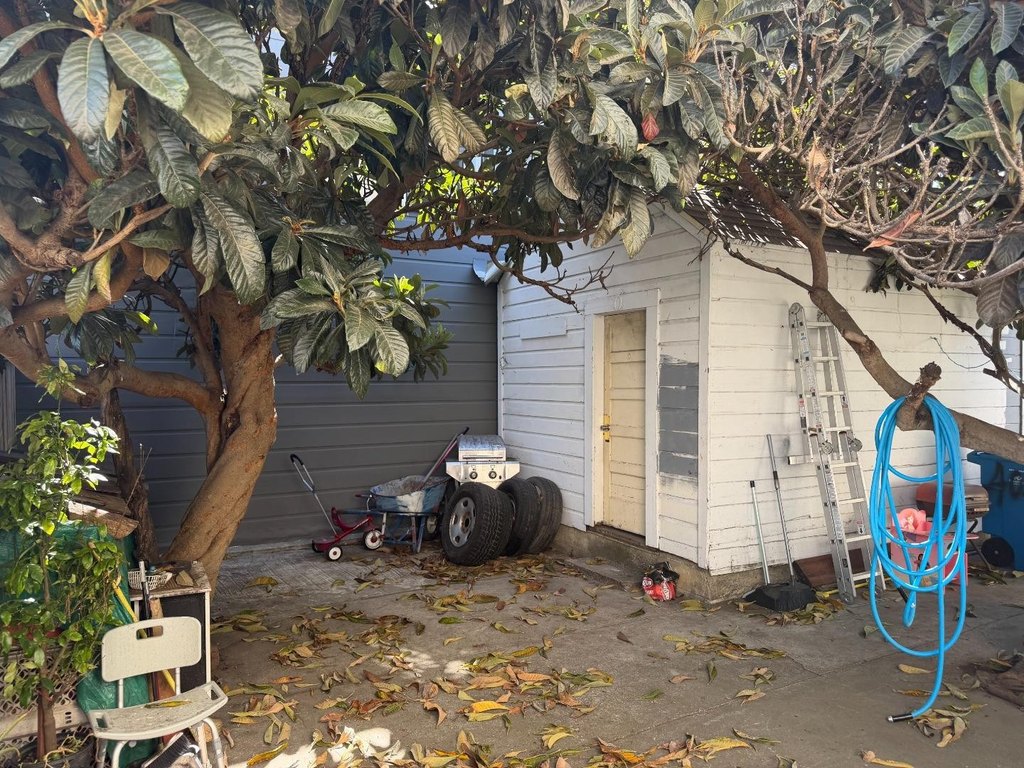 Picture 19