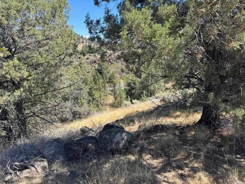 Sloped Residential Lot Near Lost Lake