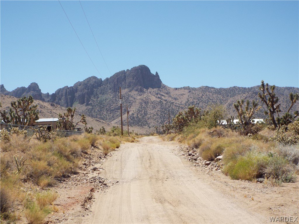 Picture 11