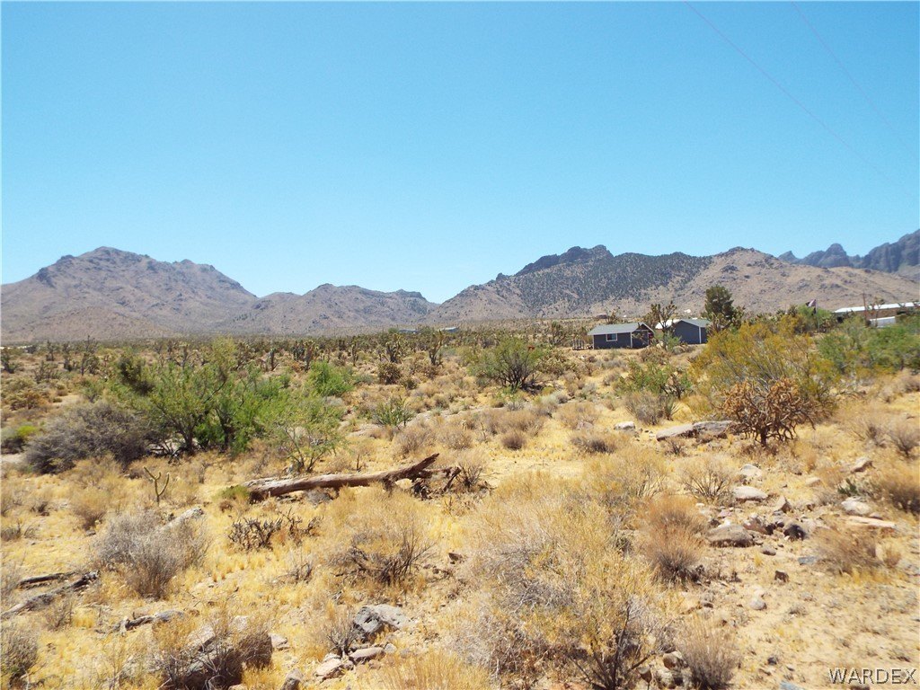 Picture 7
