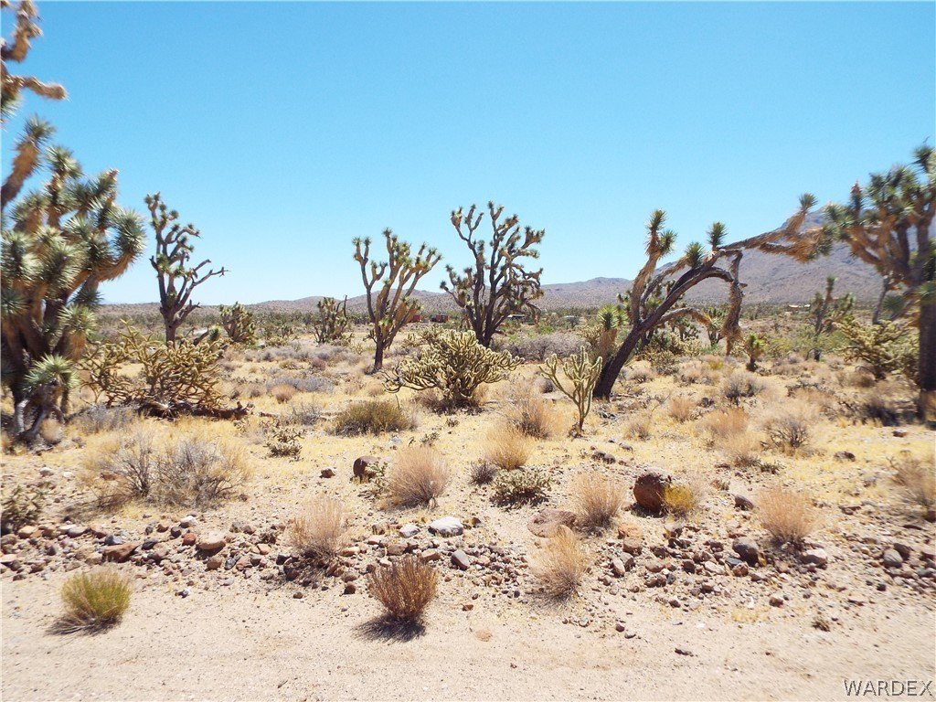 Picture 10