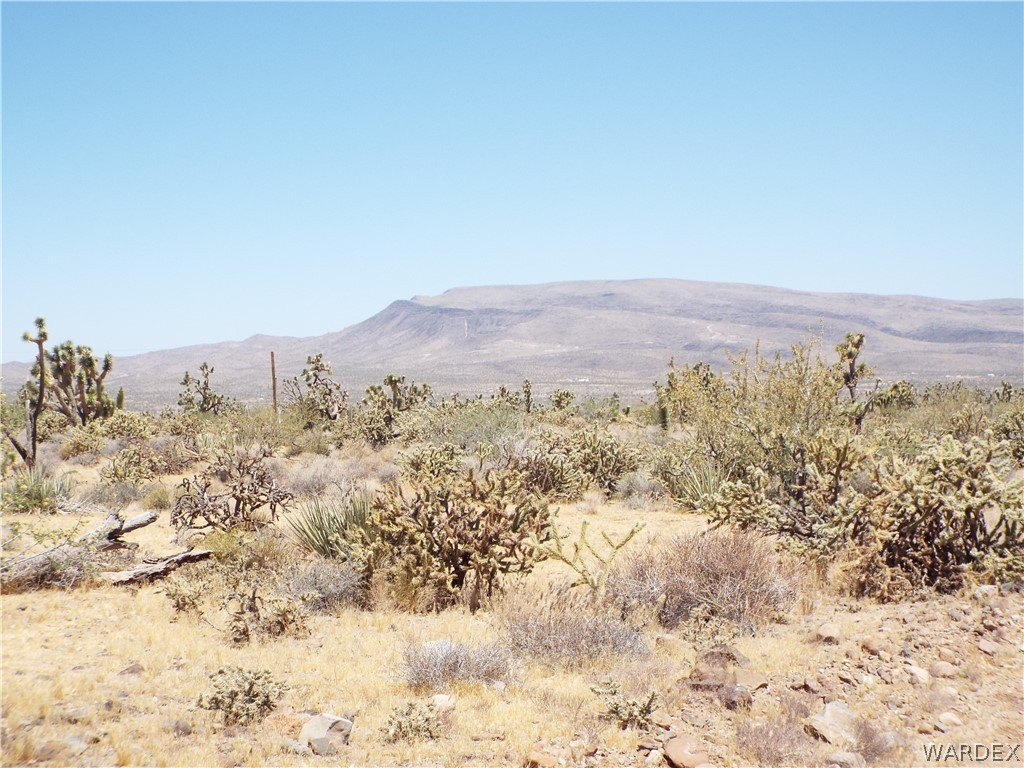 Picture 12