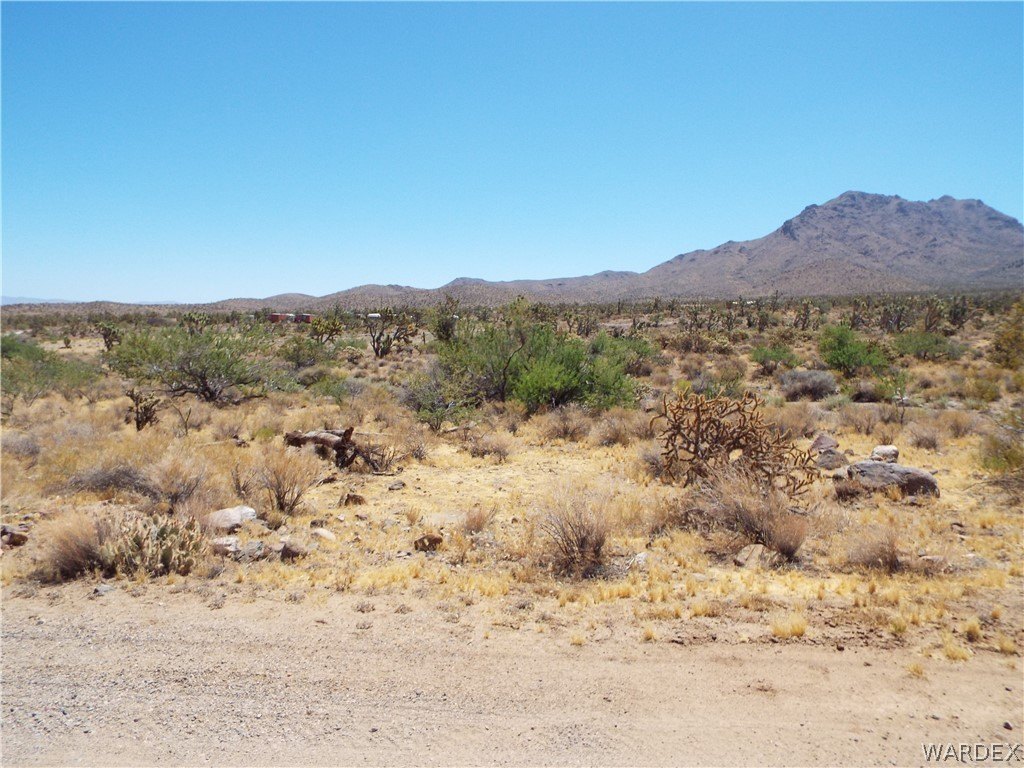 Picture 5