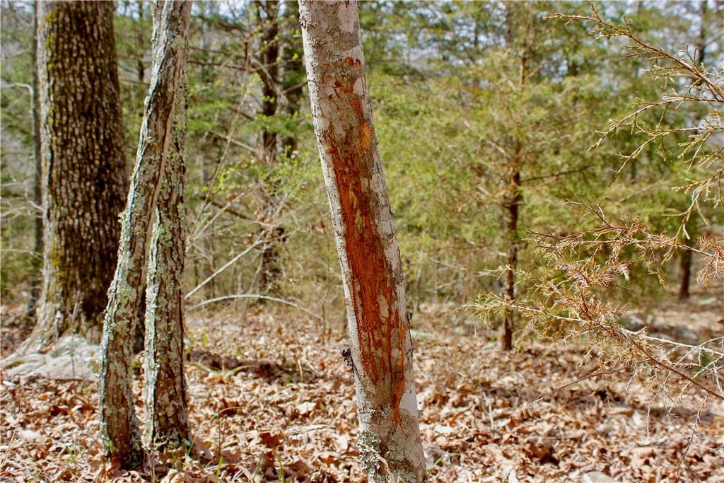 Picture 45