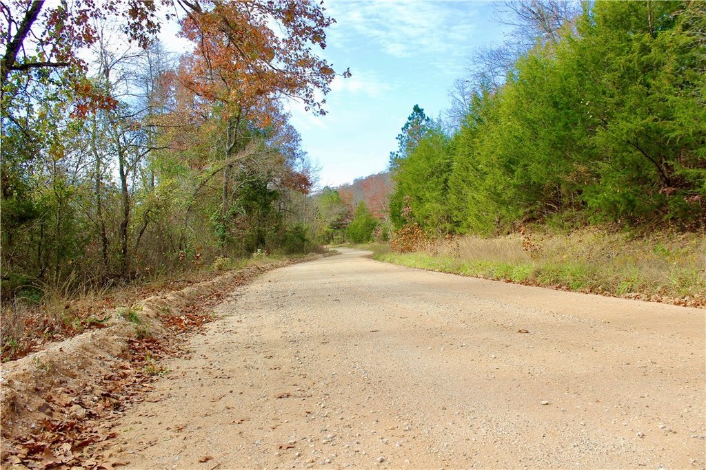 Picture 7