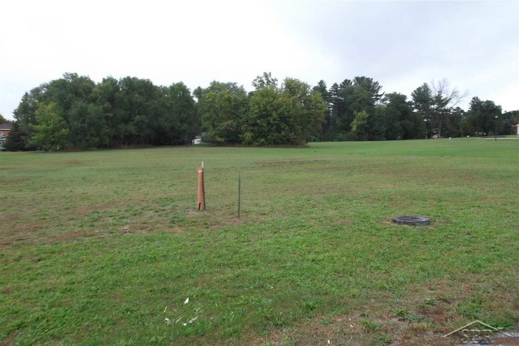 Picture 4