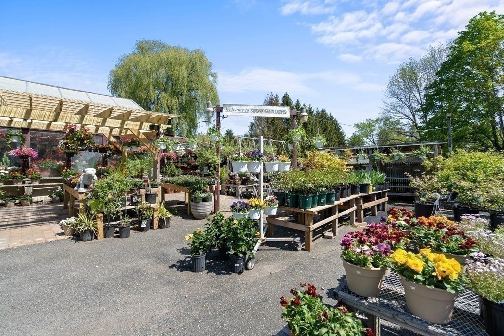 Picture 14