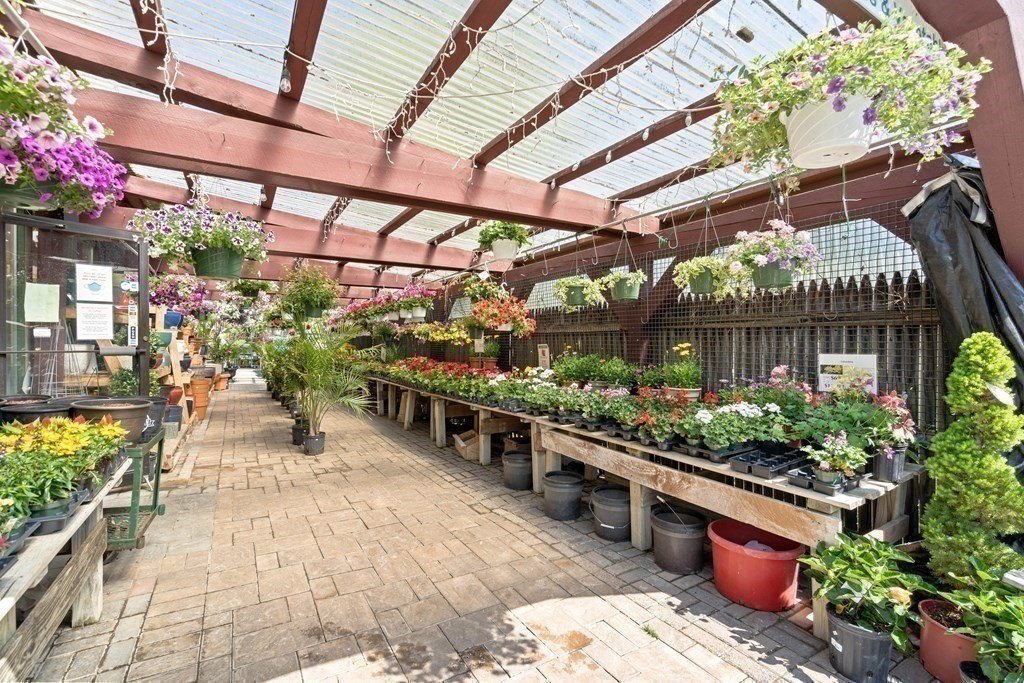 Picture 15