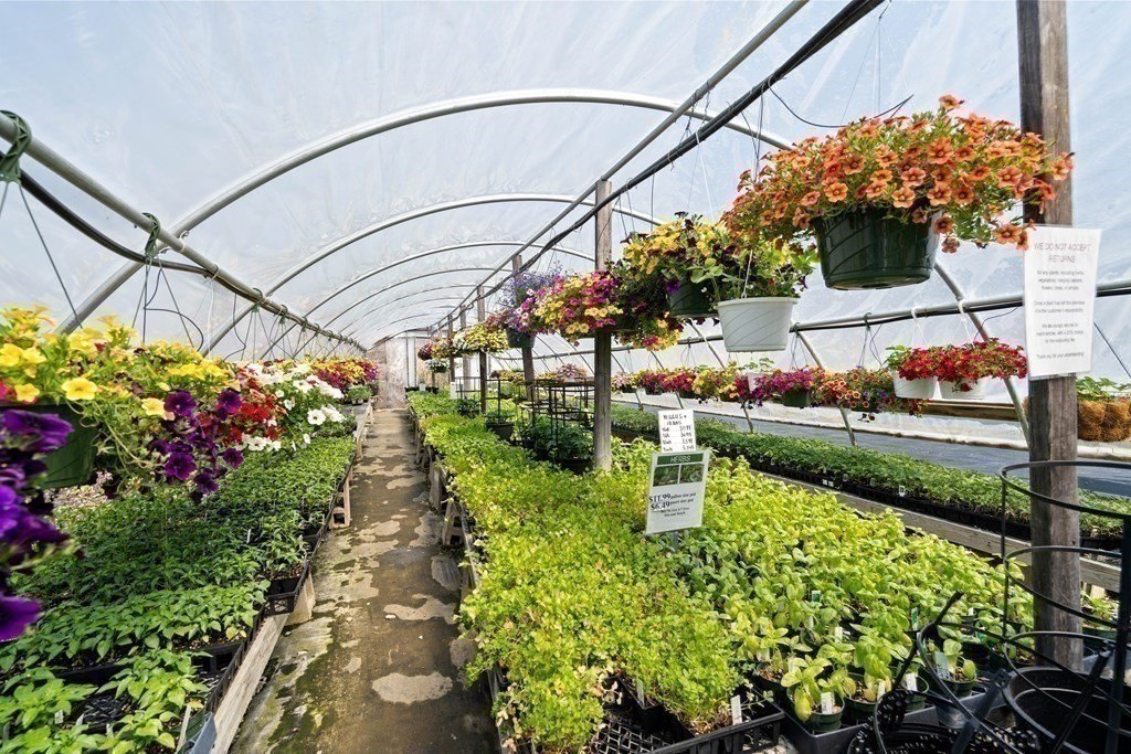 Picture 16