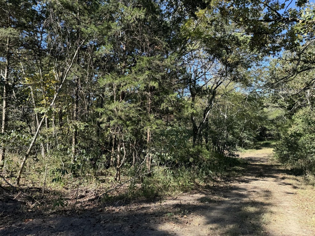 Picture 6