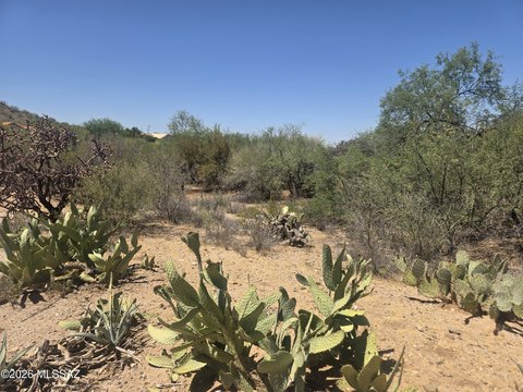 LAND - Tucson, AZ