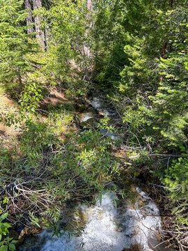 Hunting Land with Creek and Springs