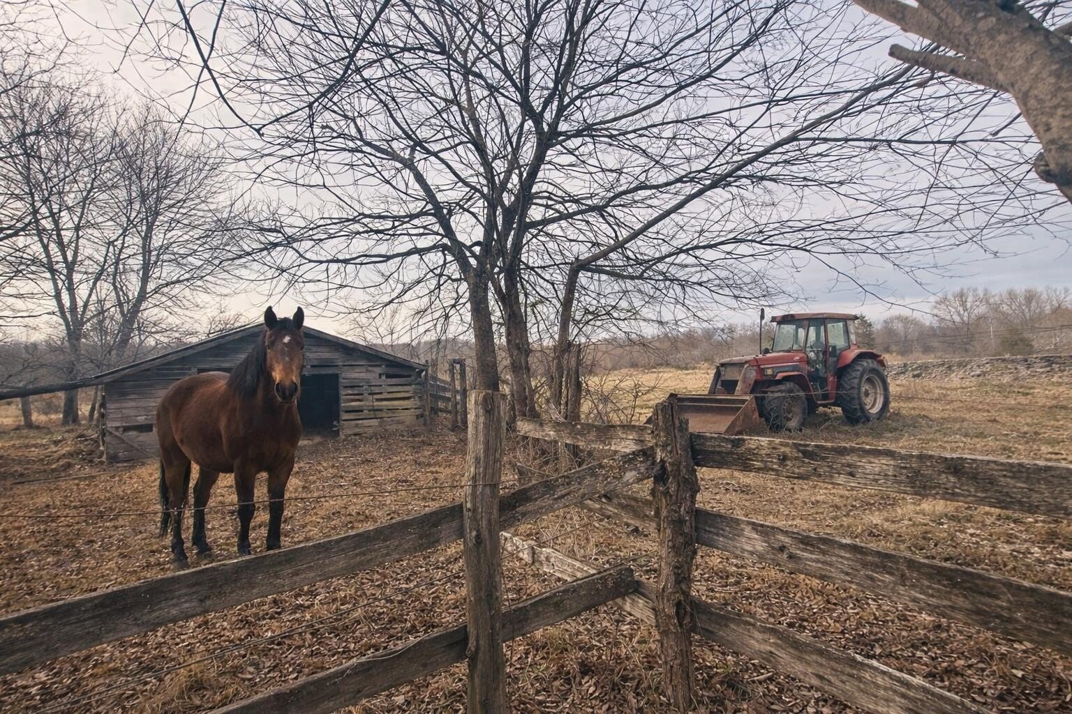 31 Acres Farmland with Barn