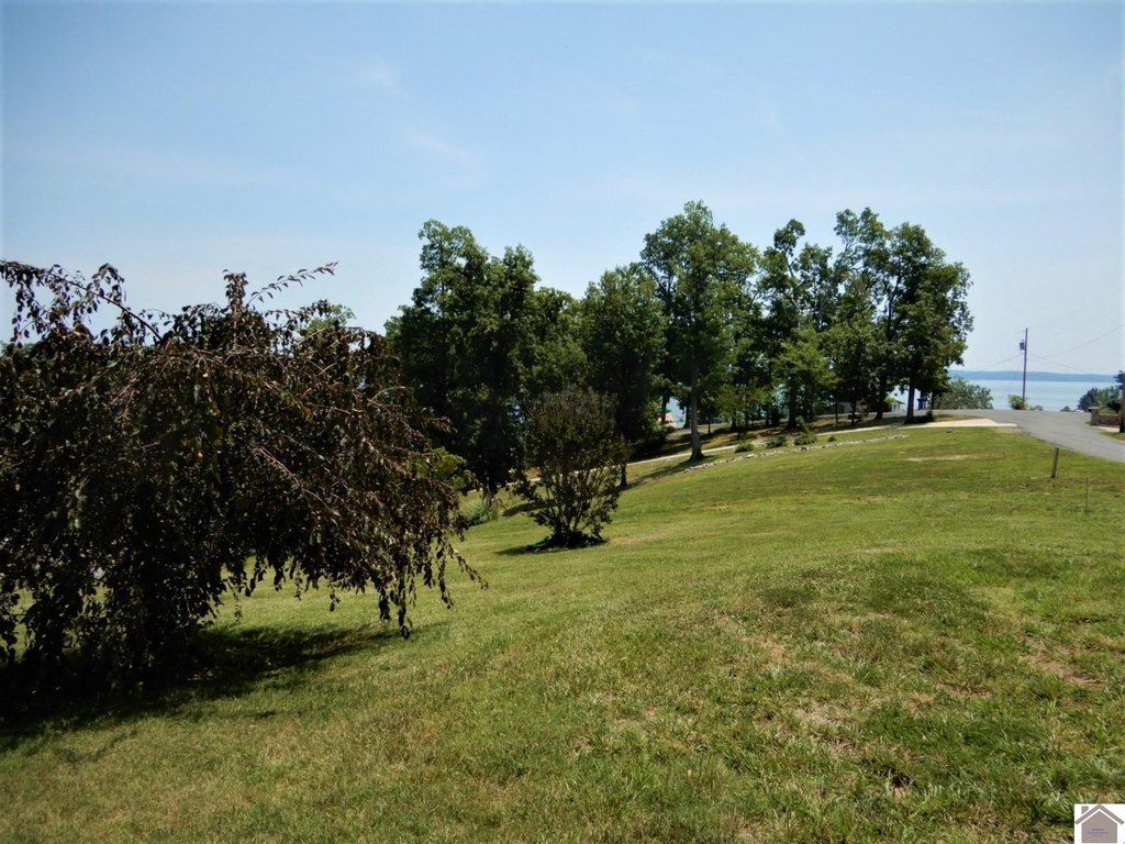 Picture 20