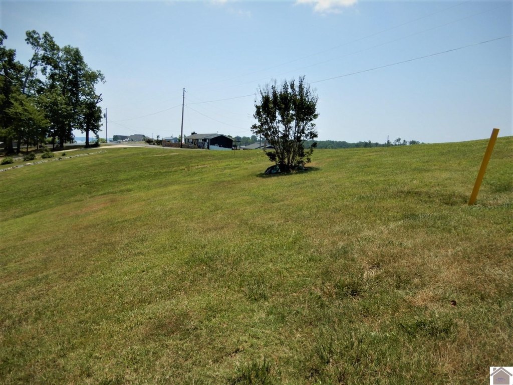 Picture 19