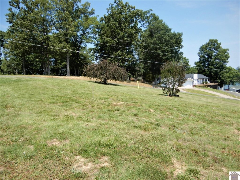 Picture 13