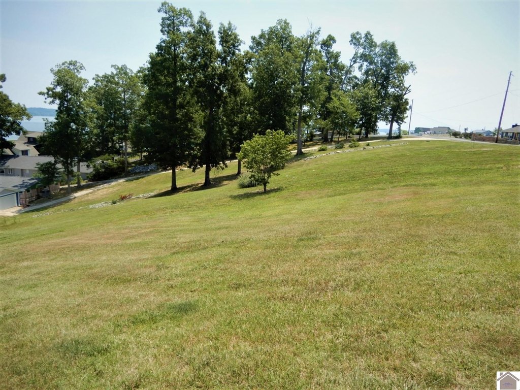 Picture 16