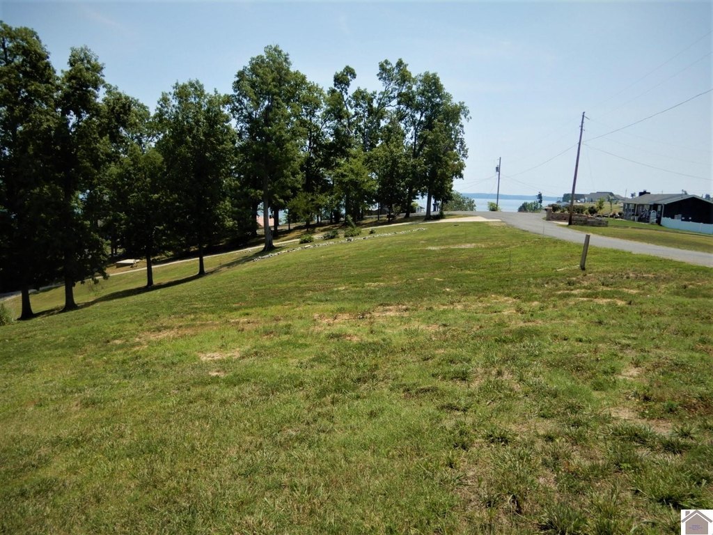 Picture 8